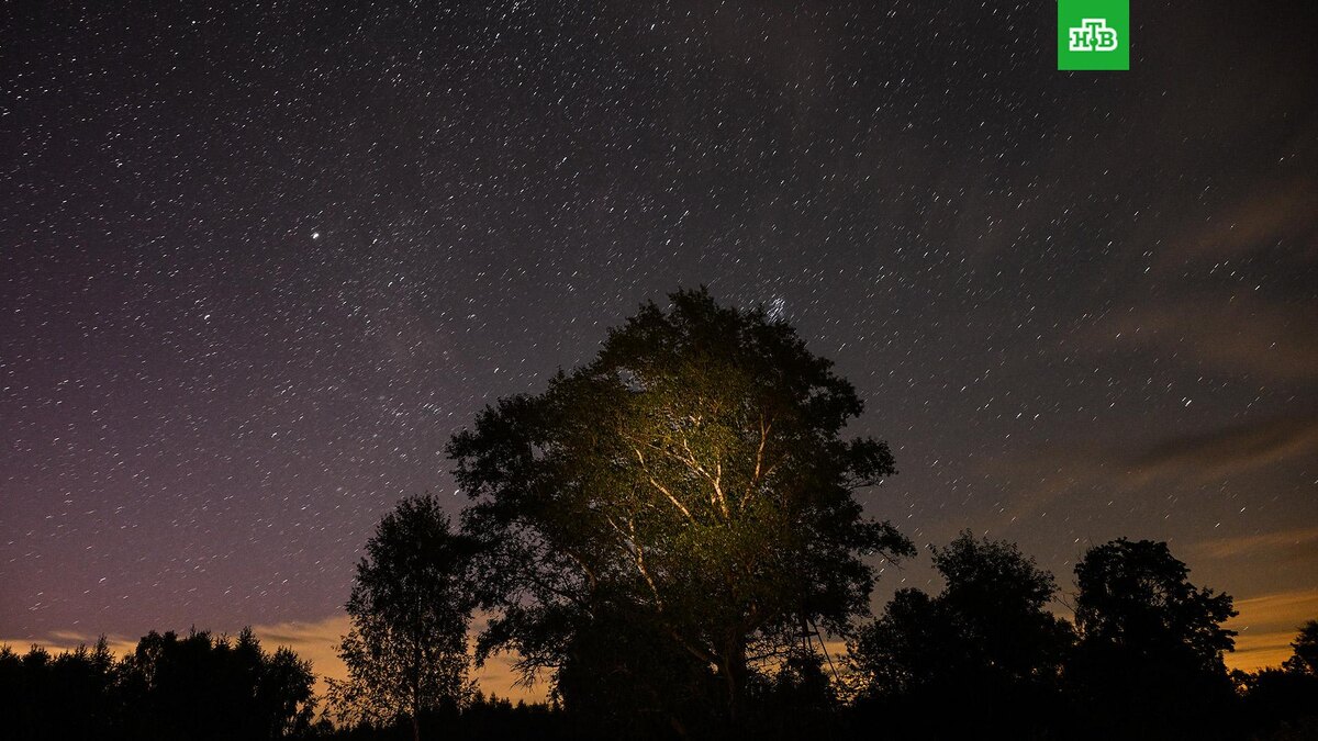    Фото: РИА Новости © 2025, Владимир Астапкович