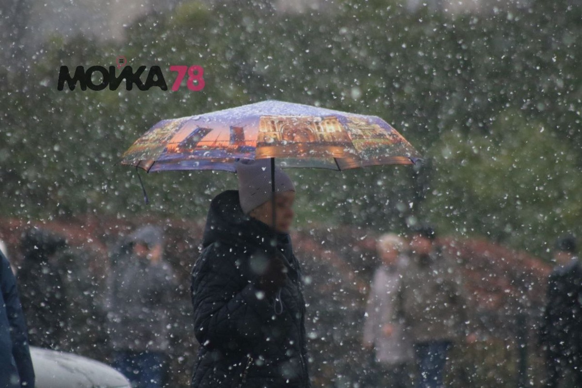    Фото: Мойка78