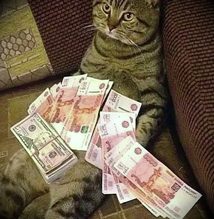 Вроде бы и деньги есть... Но опять не про мою честь...