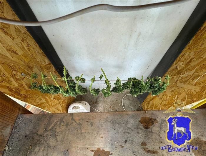    ФОТО: ГУ МВД по Самарской области