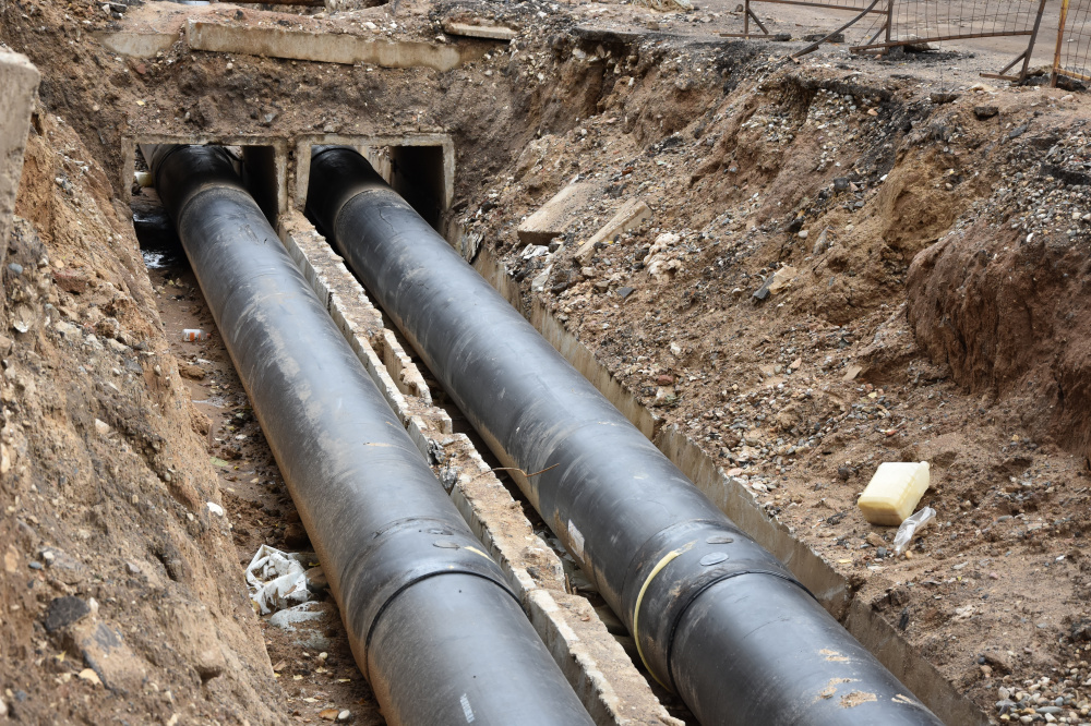    ФОТО: grad.kostroma.gov.ru