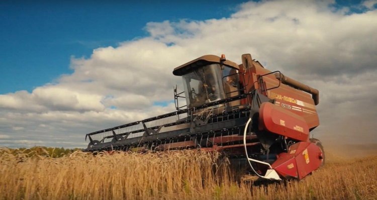    Фото: Правительство Пермского края