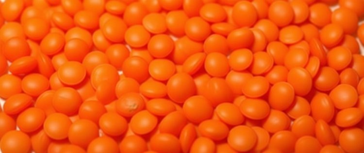    Фото: Медведева Анна, AgroXXI.ru