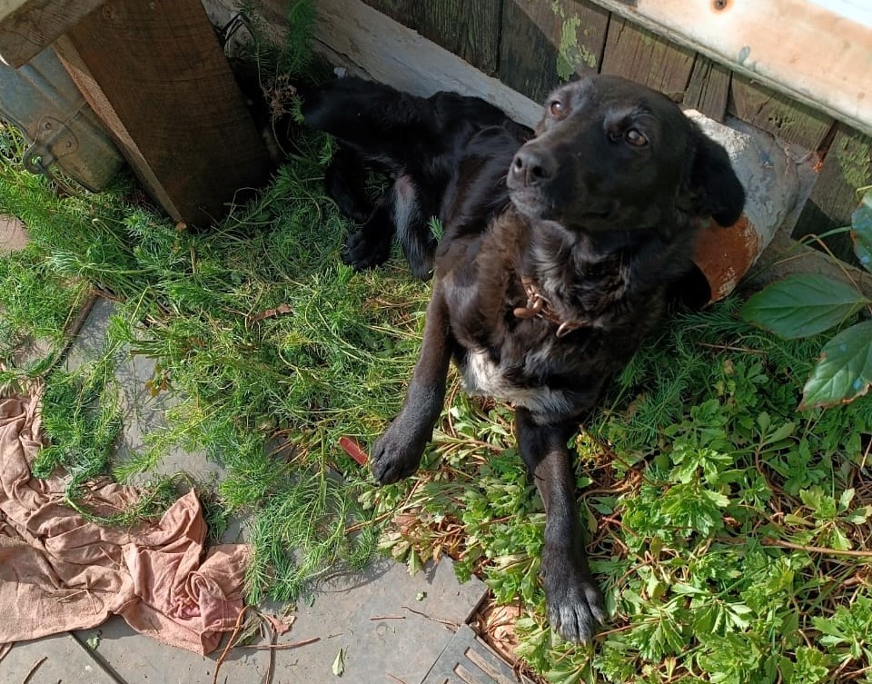 Трава еще зеленая, но на дворе - сентябрь