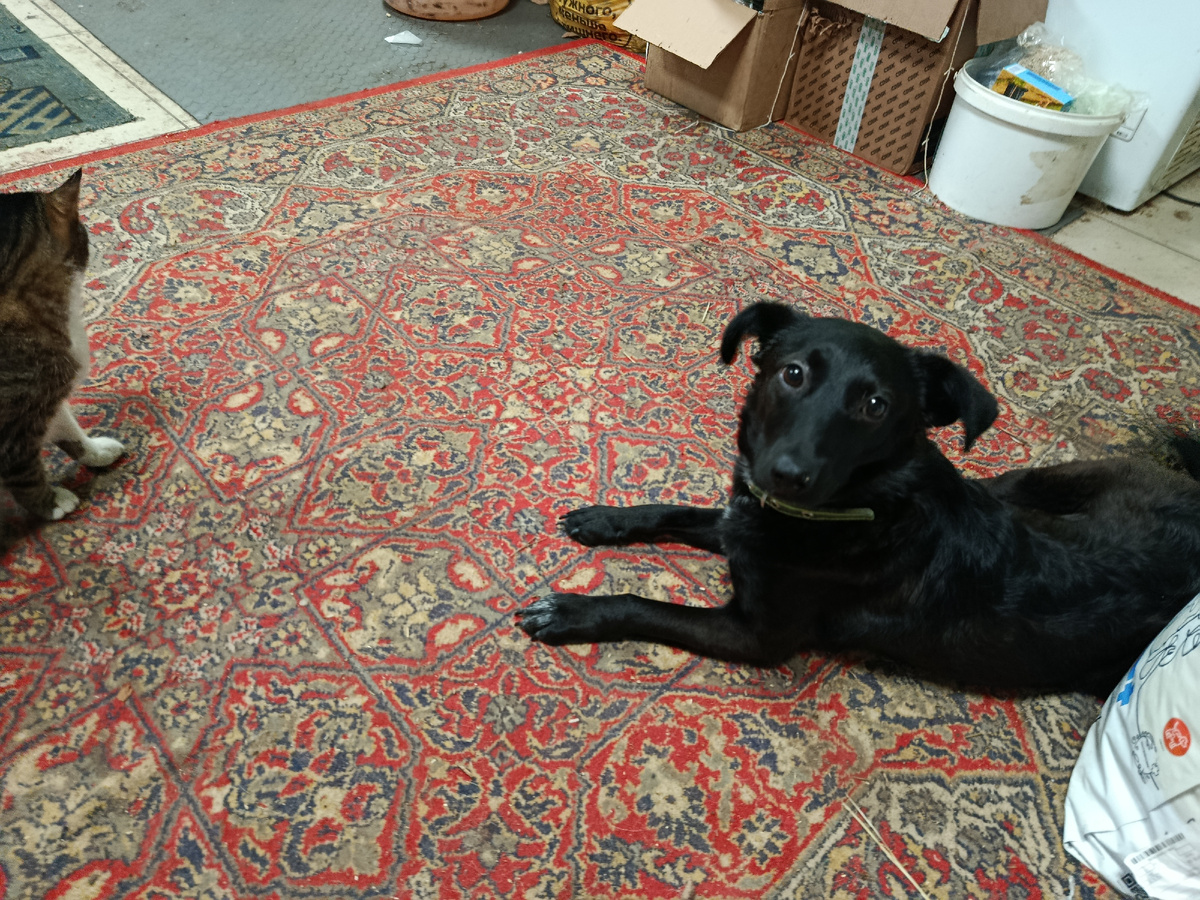 Но друзья всегда утешат