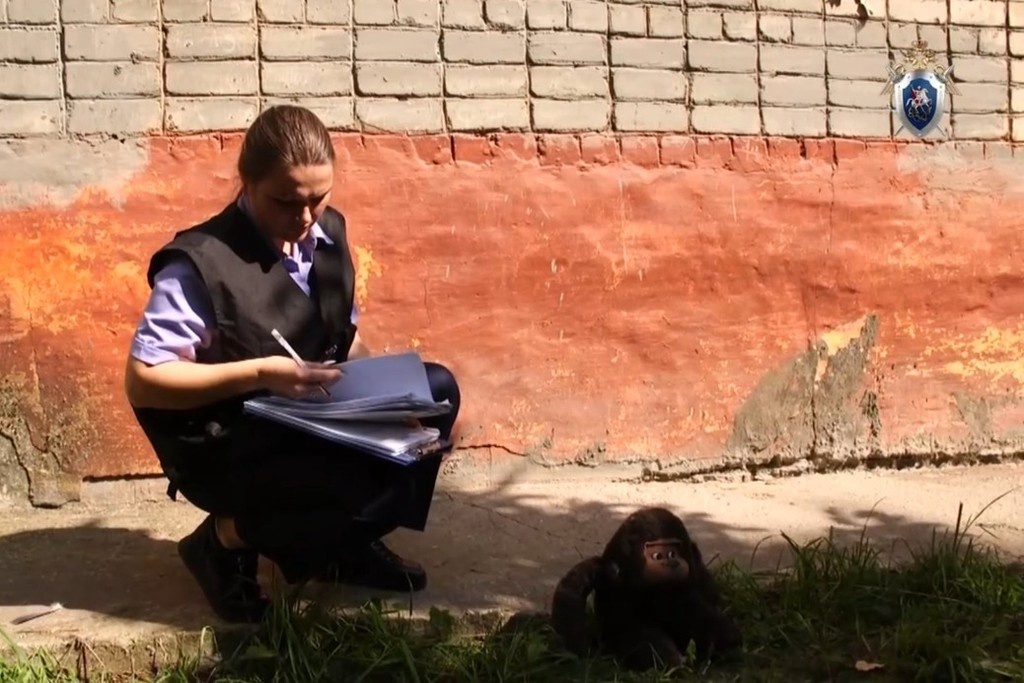    Фото © Telegram / СУ СК России по Пермскому краю