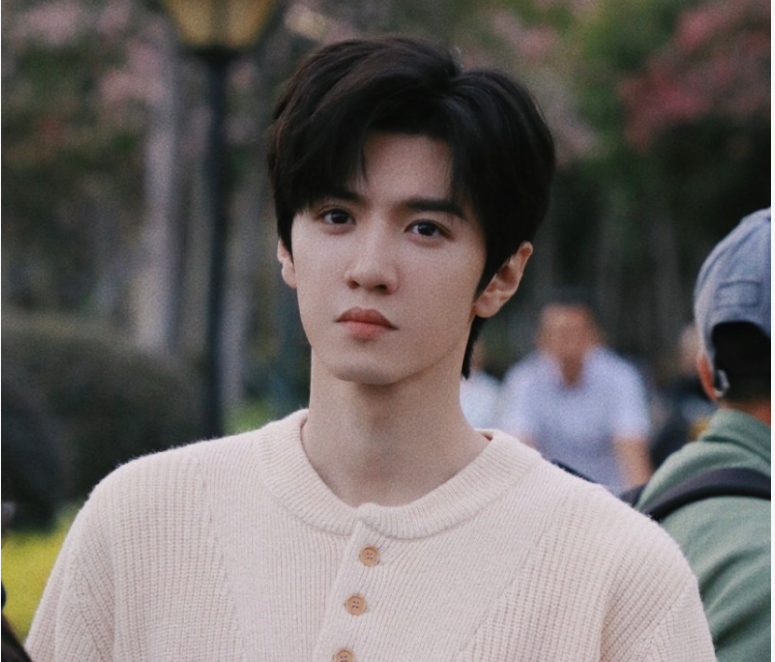 Снимок с экрана монитора. Китайский актер Чэнь Чжэюань.