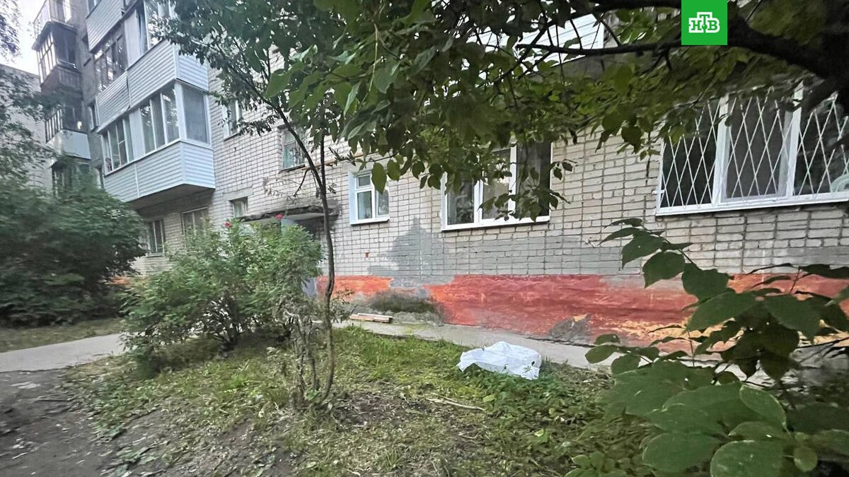    Фото: prokpermkrai / t.me