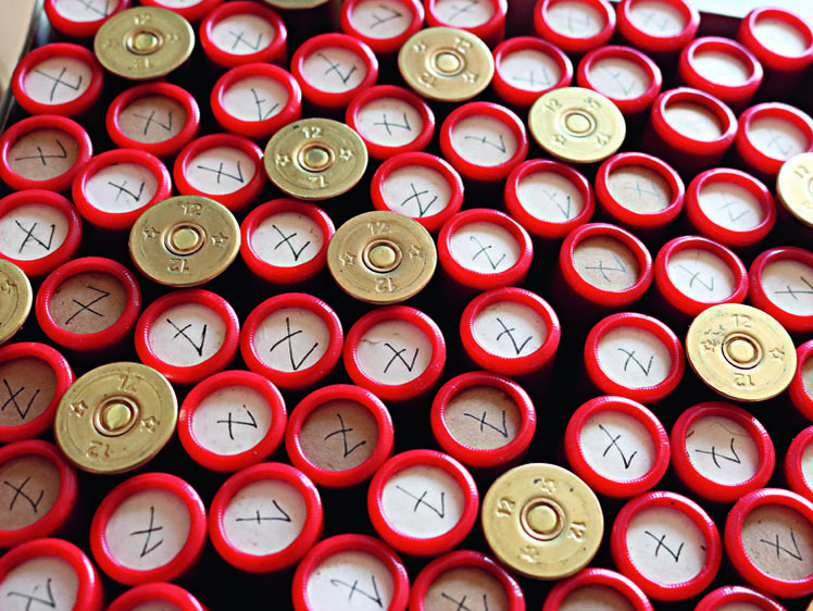     ФОТО ДМИТРИЯ ВАСИЛЬЕВА