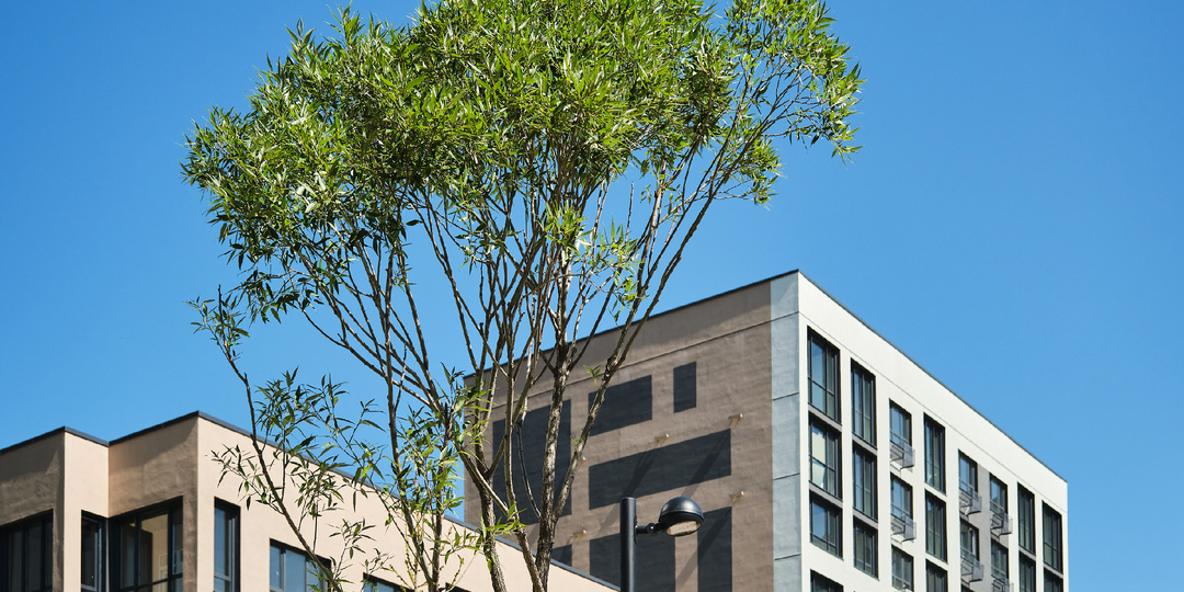 Почему выгодно покупать квартиру в Тюмени на старте продаж?