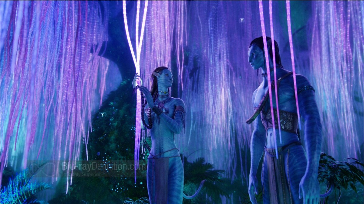 Кадр из фильма "Аватар"