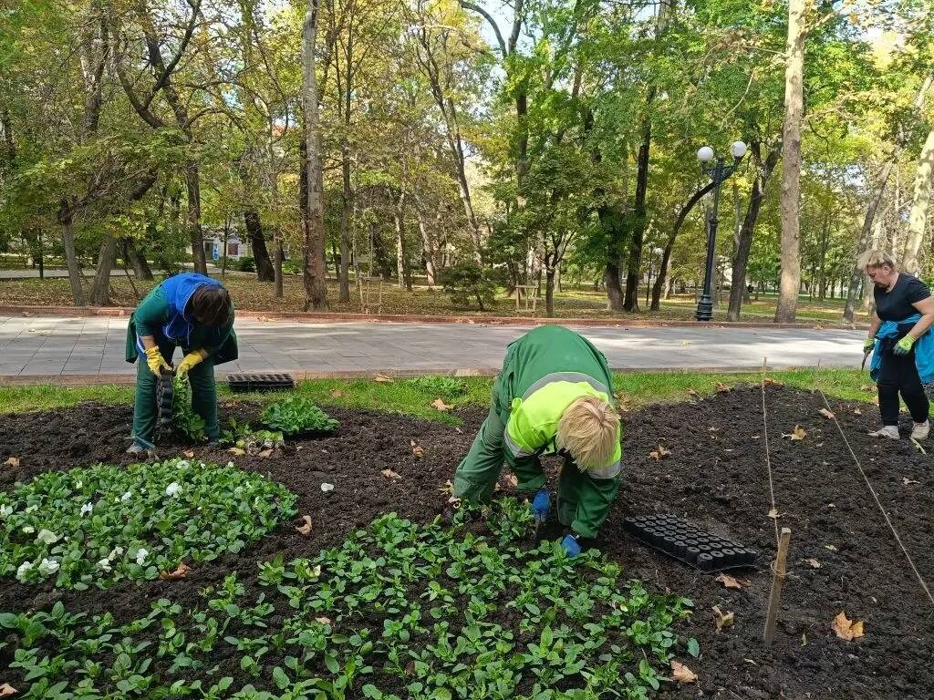 Фото: https://t.me/kravchenko_glava_nvrsk