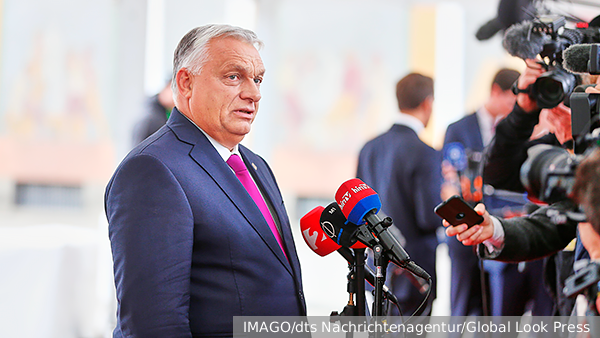     Фото: IMAGO/dts Nachrichtenagentur/Global Look Press   
 Текст: Вера Басилая