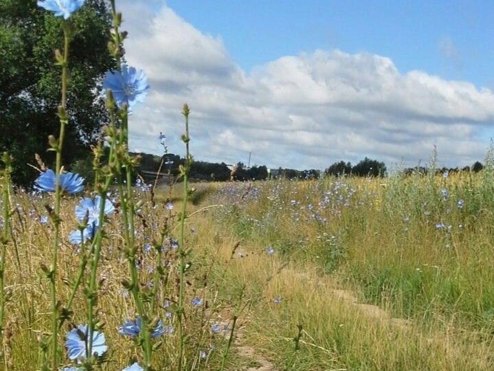 Прибыльный бизнес в деревне! Ферма для форели за 6 млн