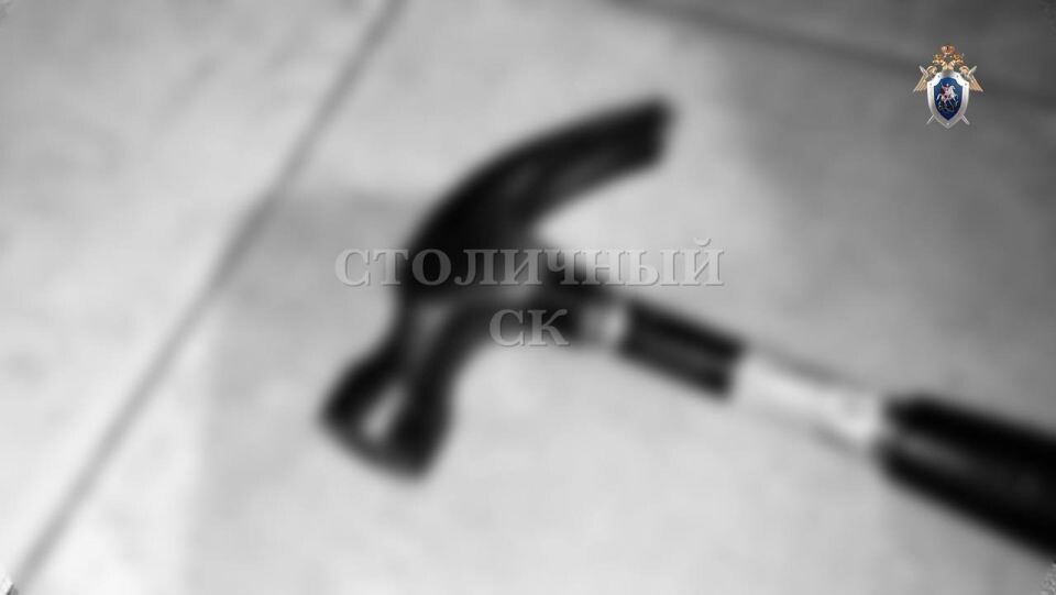    Орудие убийства. Источник: t.me/skmoscowgsu