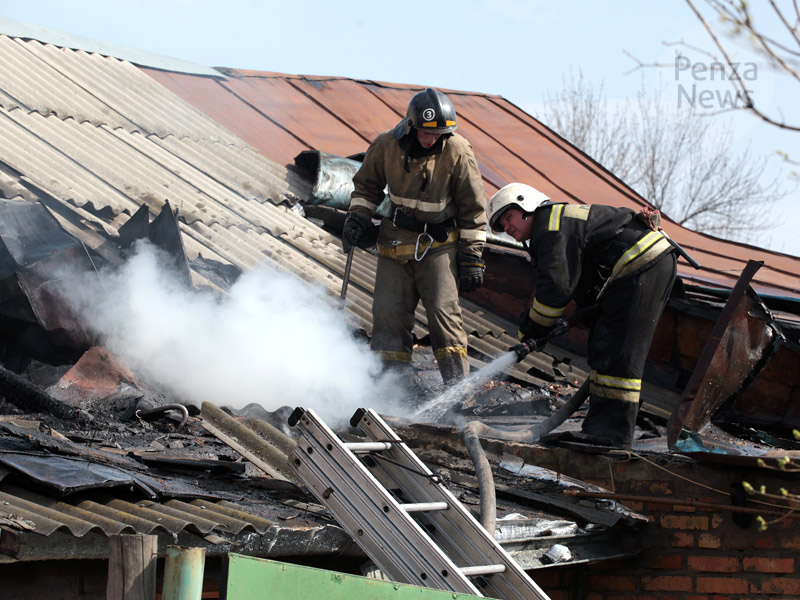    © Фото из архива ИА «PenzaNews»