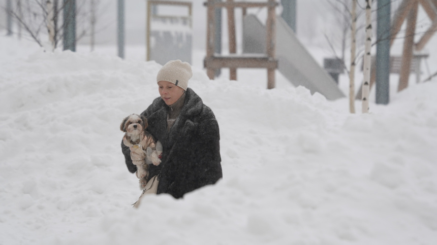    Фото: ИЗВЕСТИЯ/Дмитрий Коротаев