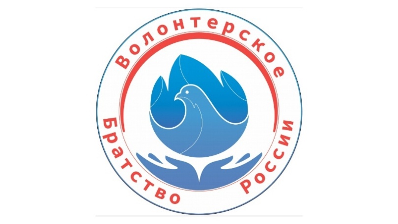 Круглый стол «Волонтерское Братство России»
