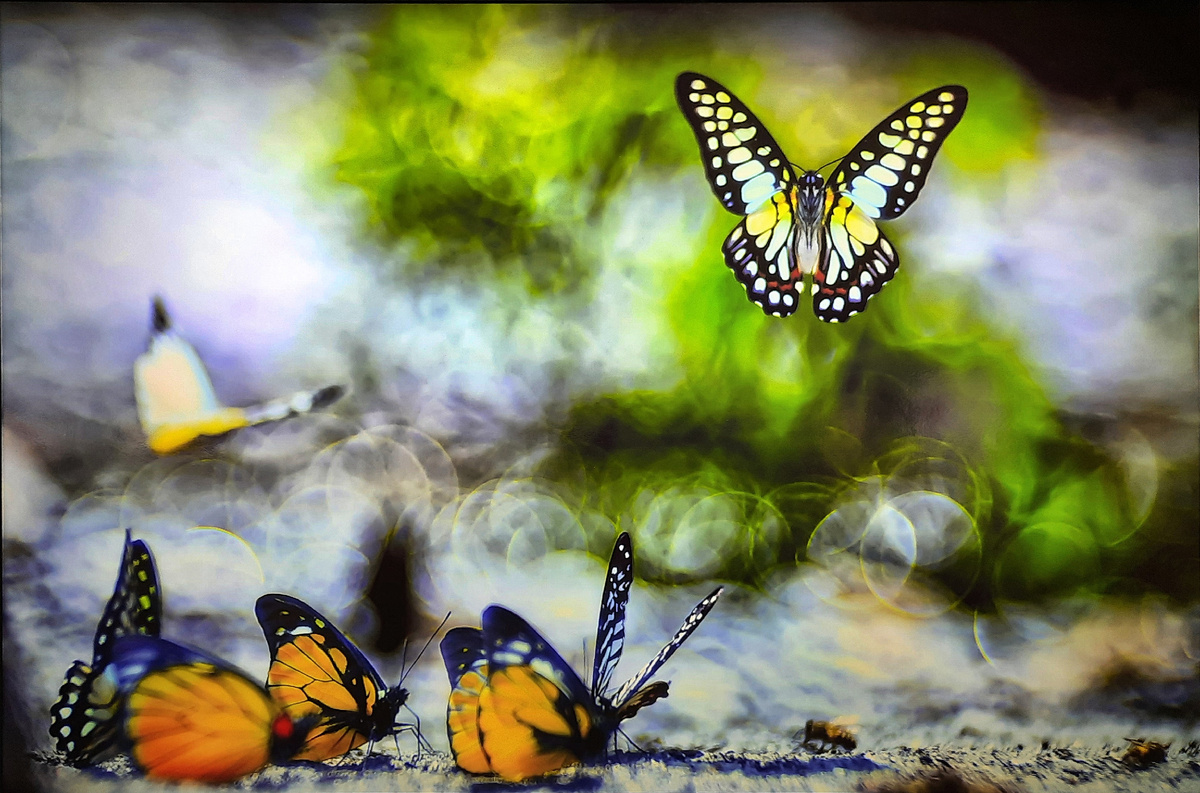 Фотографии фотографий мои