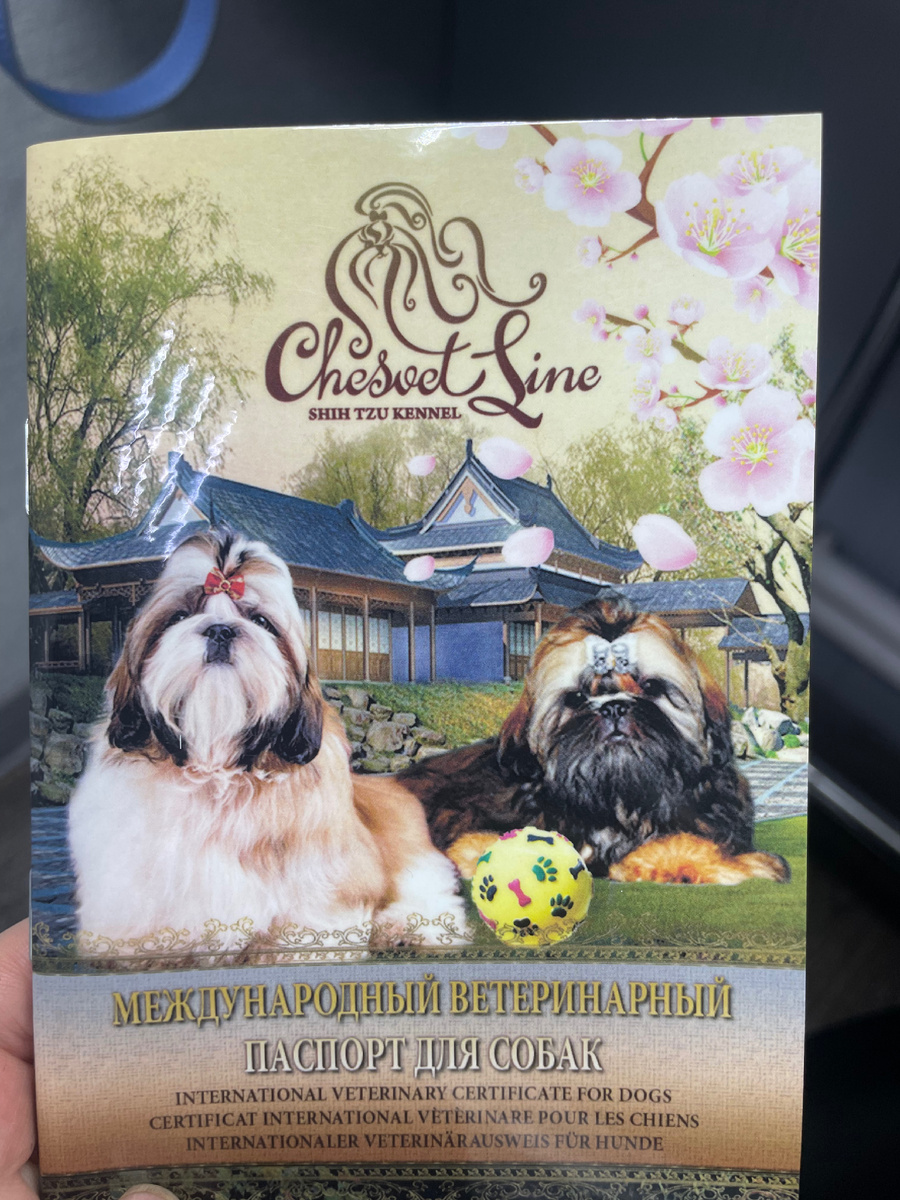 Проша у нас не лыком шит, документирован паспортом:))