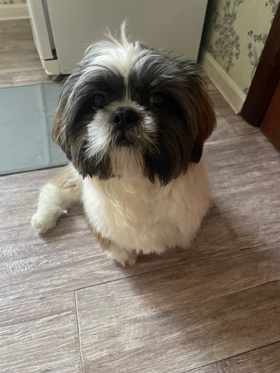 Настраивается:)