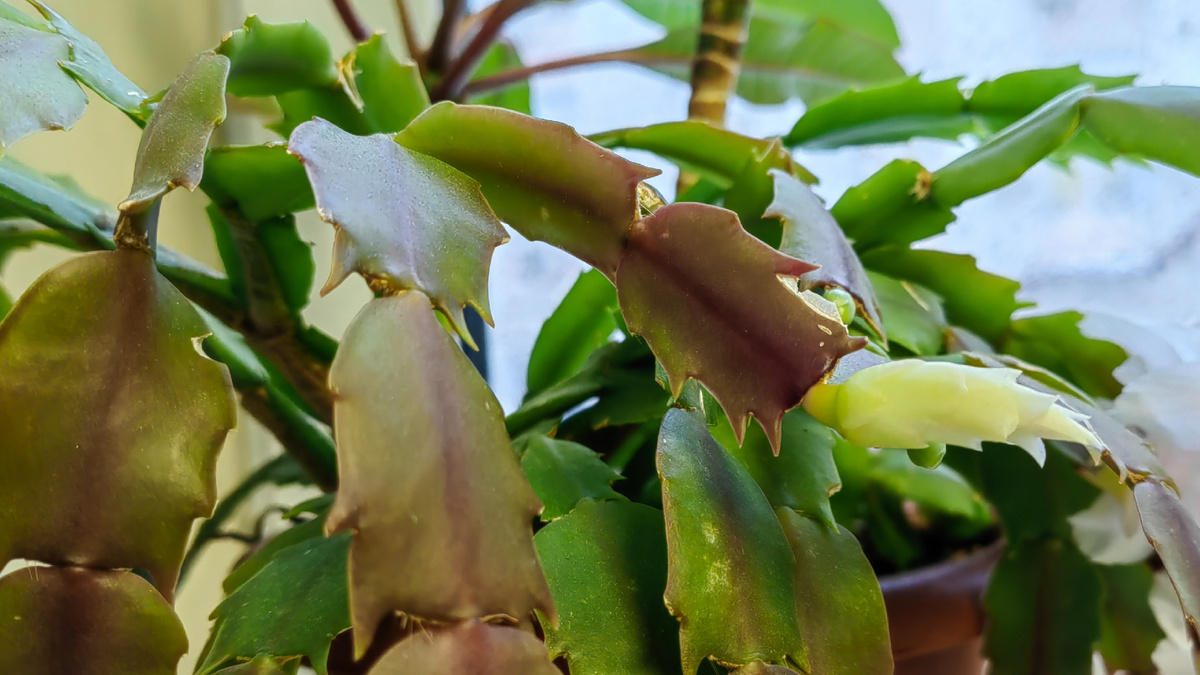 Место для "шоковой терапии" - максимальные перепады температур