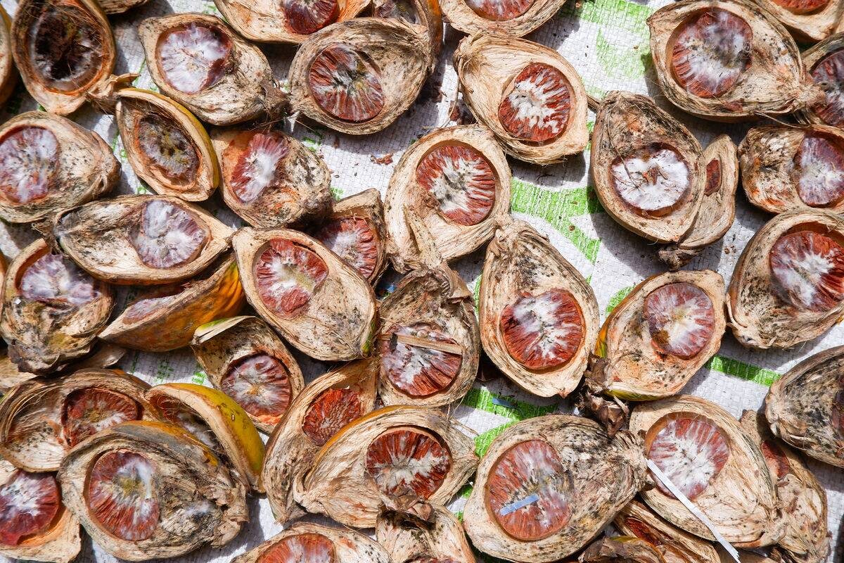 Фото: Изображение Midjourney