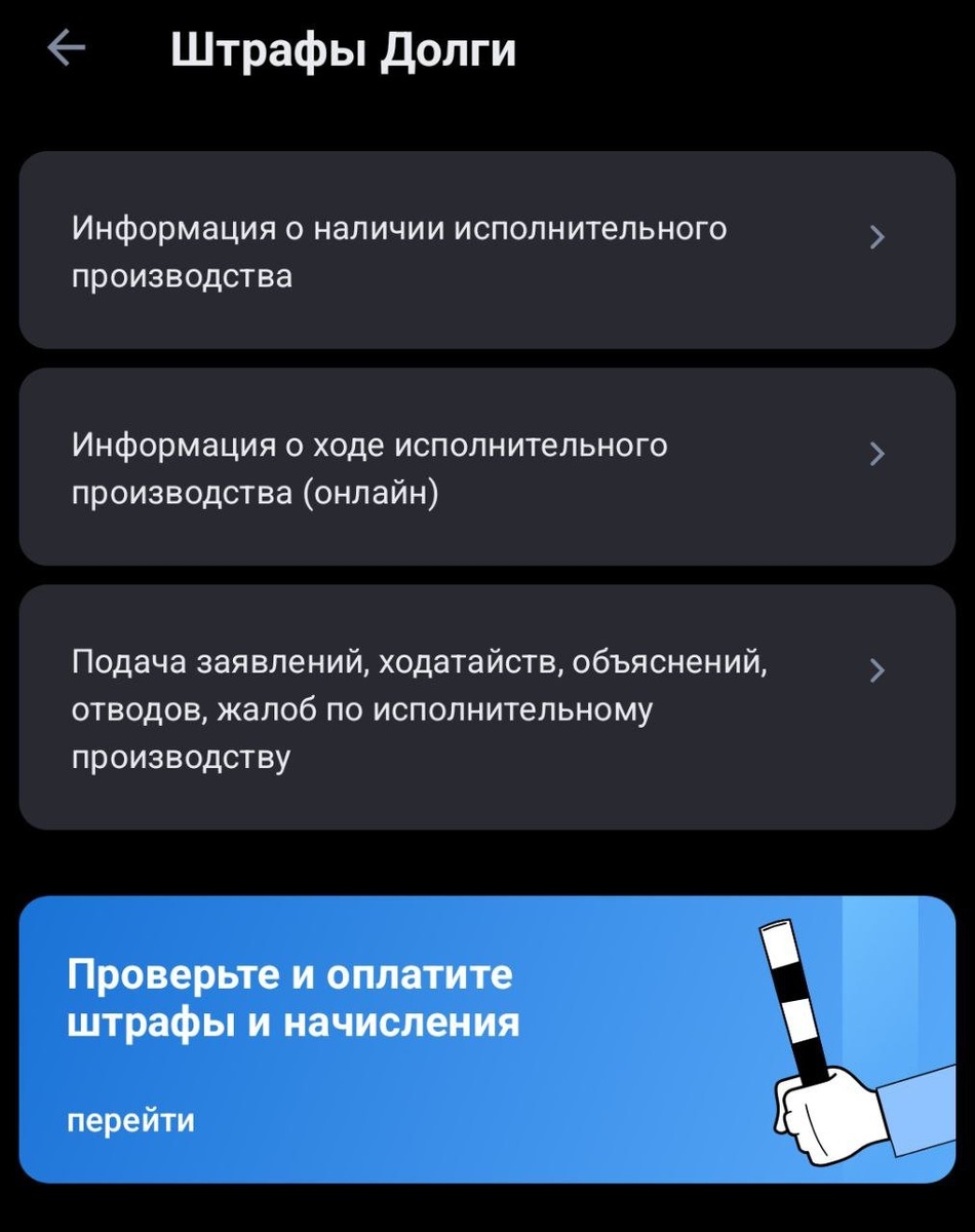     Скриншот: приложение «Госуслуг»