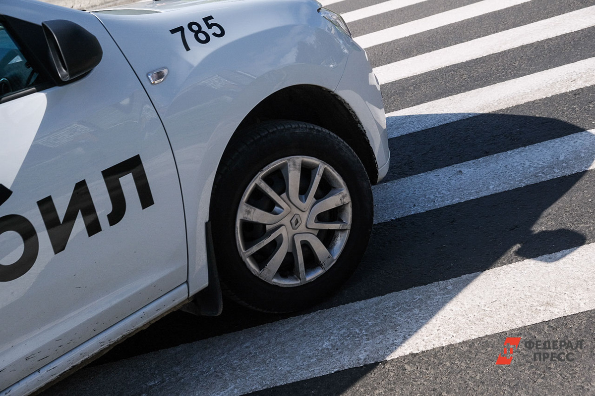 До конца года на линию выйдут более 30 машин.  Фото: Фото: ФедералПресс / Полина Зиновьева