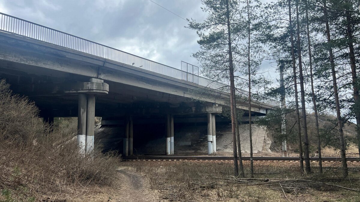    Фото: t.me/mostotrest_spb