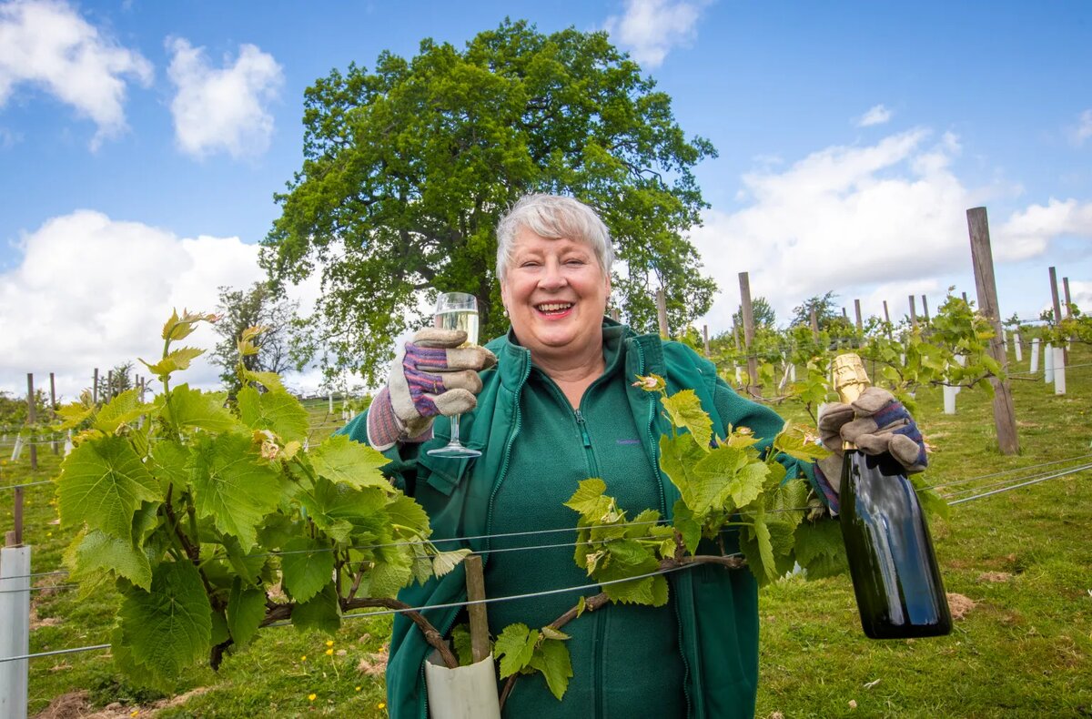 Игрстое из Шотландии проект "Borders Bubbly"