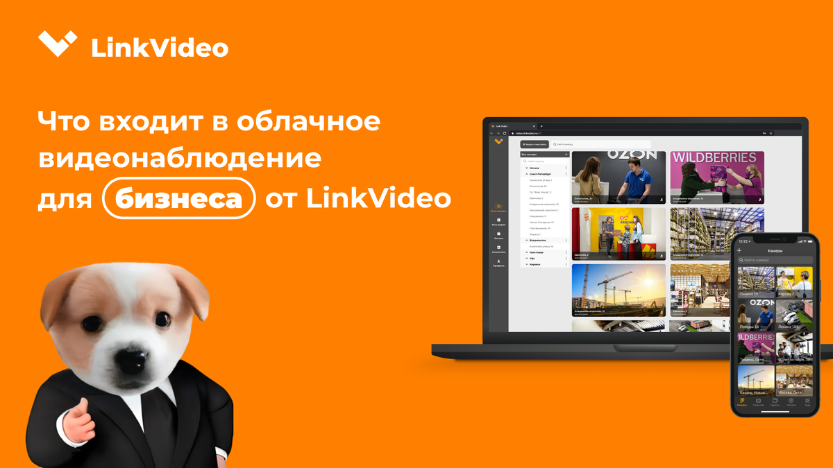 Что входит в облачное видеонаблюдение для бизнеса от LinkVideo