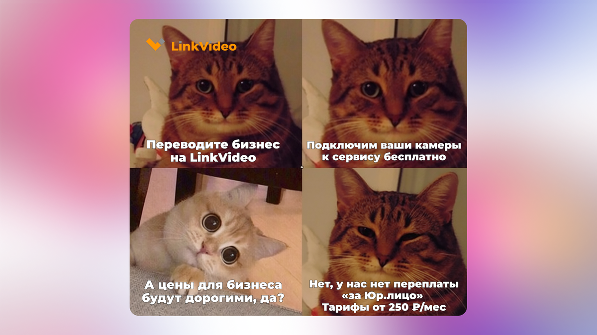 видеонаблюдение для бизнеса