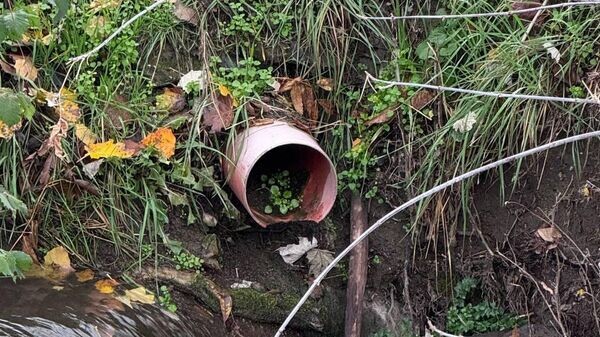    © Минприроды Крыма