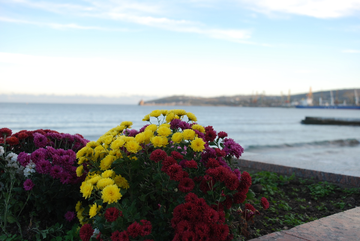 31 октября, Крым. 