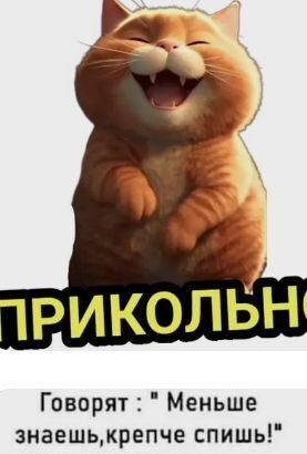 Фото из интернета. 