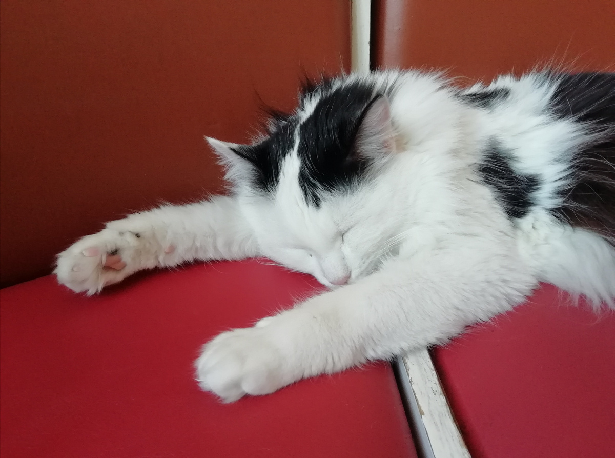 Вот тут как раз видно кусочек того самого диванчика