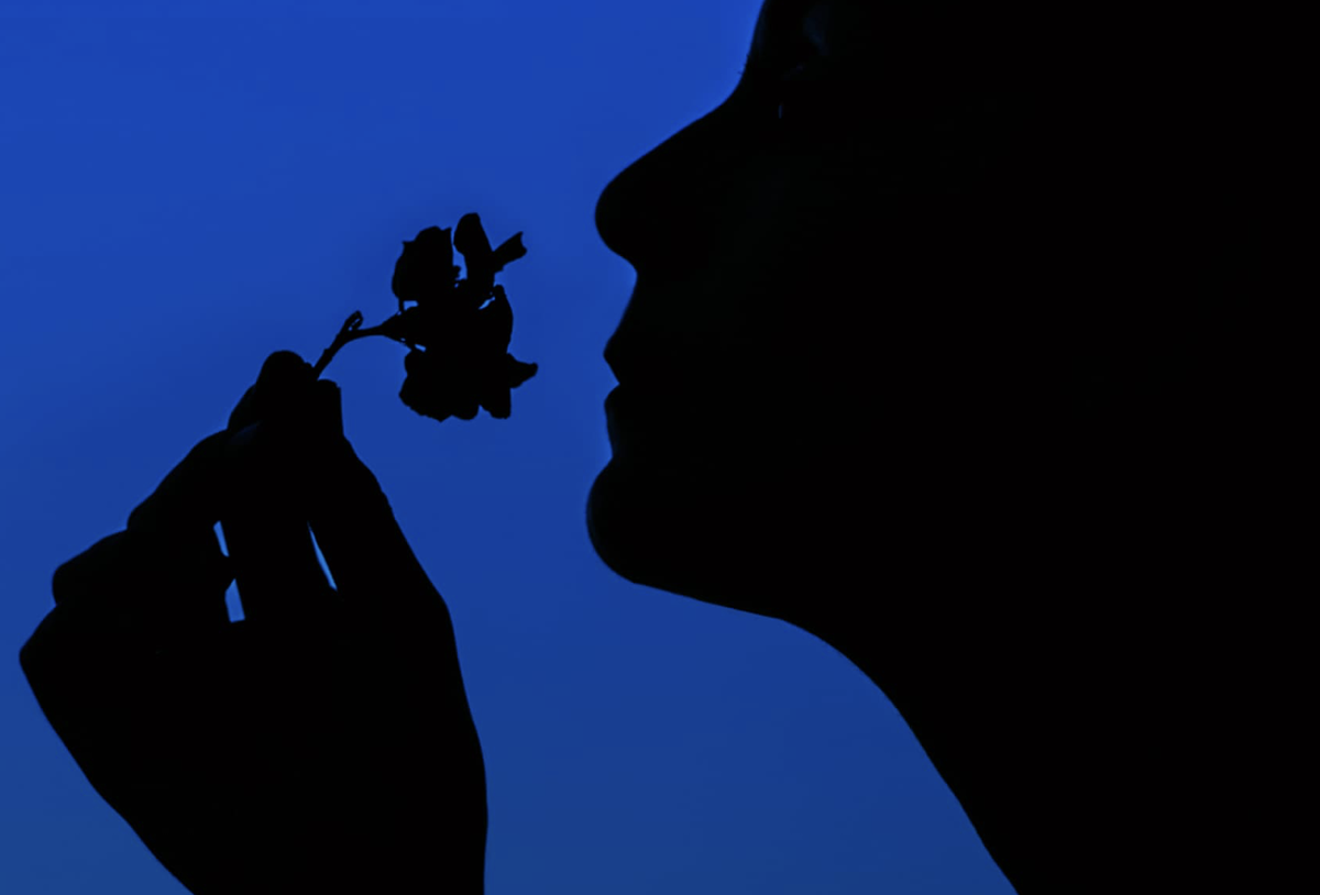 фото: Shutterstock