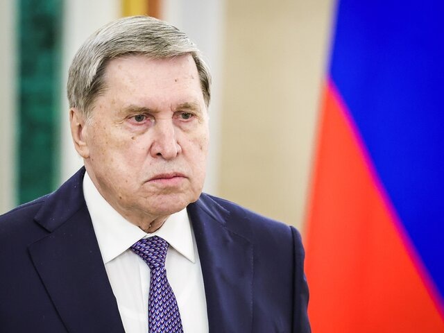    Фото: ТАСС/URA.RU/Роман Наумов