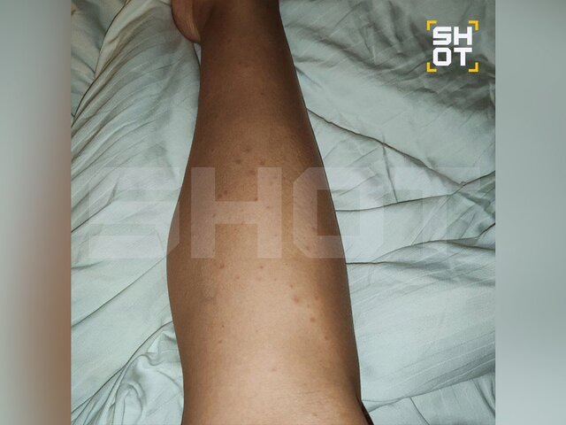    Фото: телеграм-канал SHOT