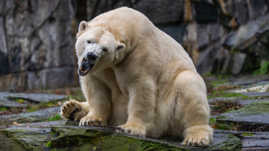    Фото: www.globallookpress.com/IMAGO/Volker Hohlfeld