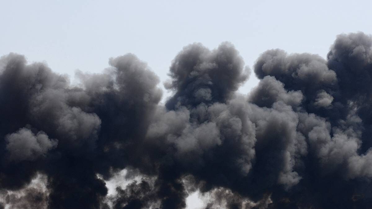    Фото: Shutterstock