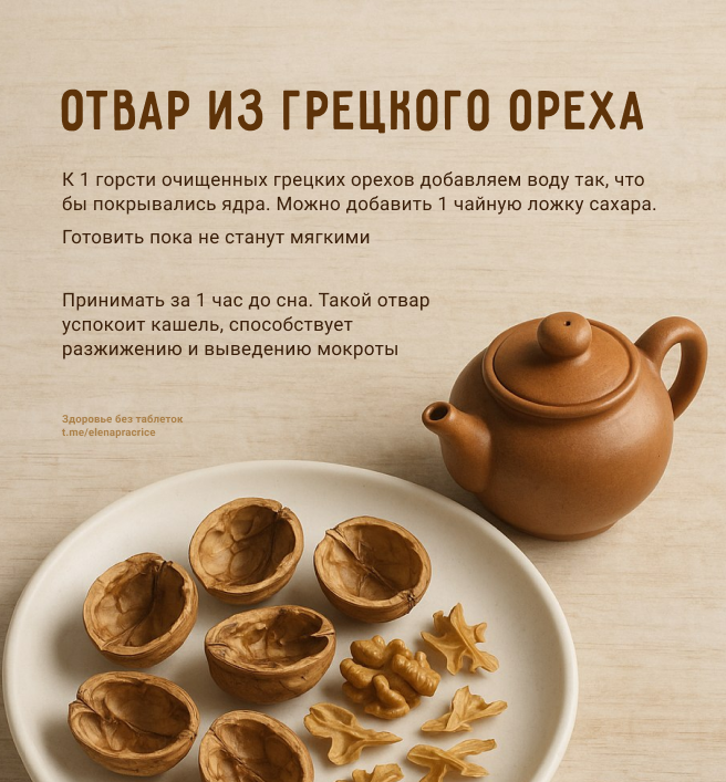 Рецепт отвара из грецкого ореха для легких