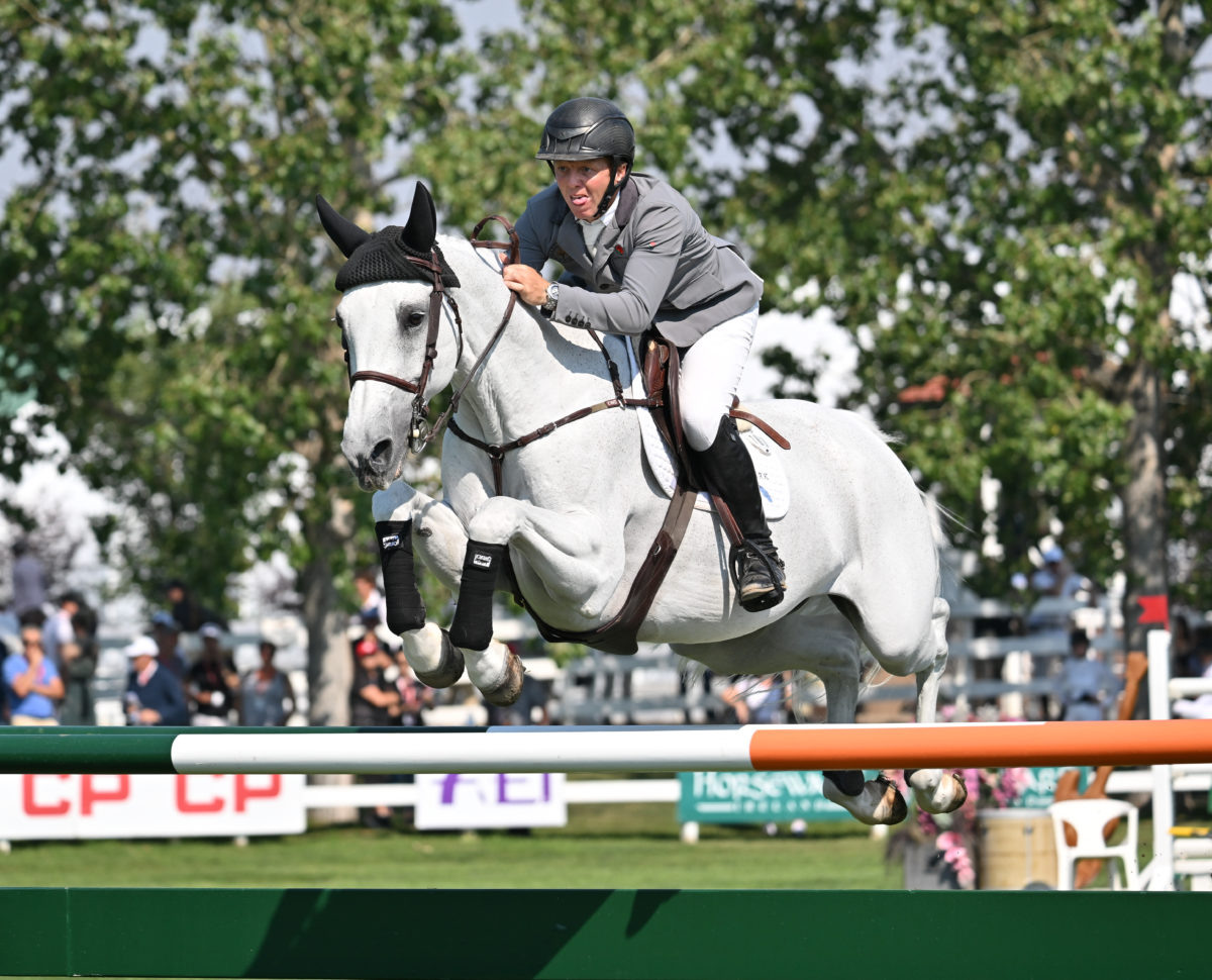 Фото: 1. Мэтью Сэмпсон 2.Майкел ван дер Влейтен. 3.Майкл Джордан