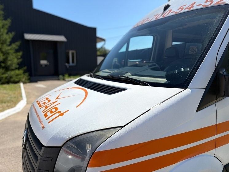    "Лиза Алерт" Кострома