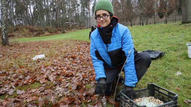 Фото: Парк Монрепо
