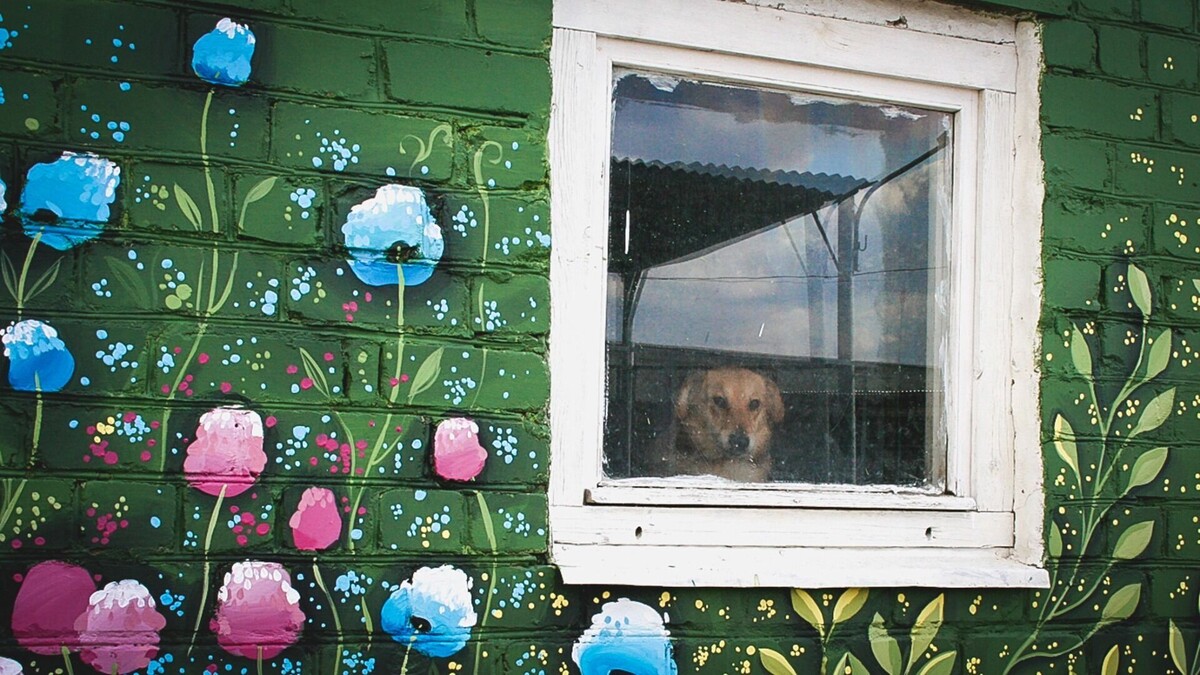     Источник: 1MI