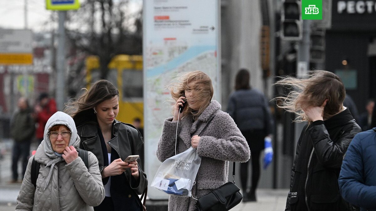    Фото: РИА Новости © 2025, Максим Блинов