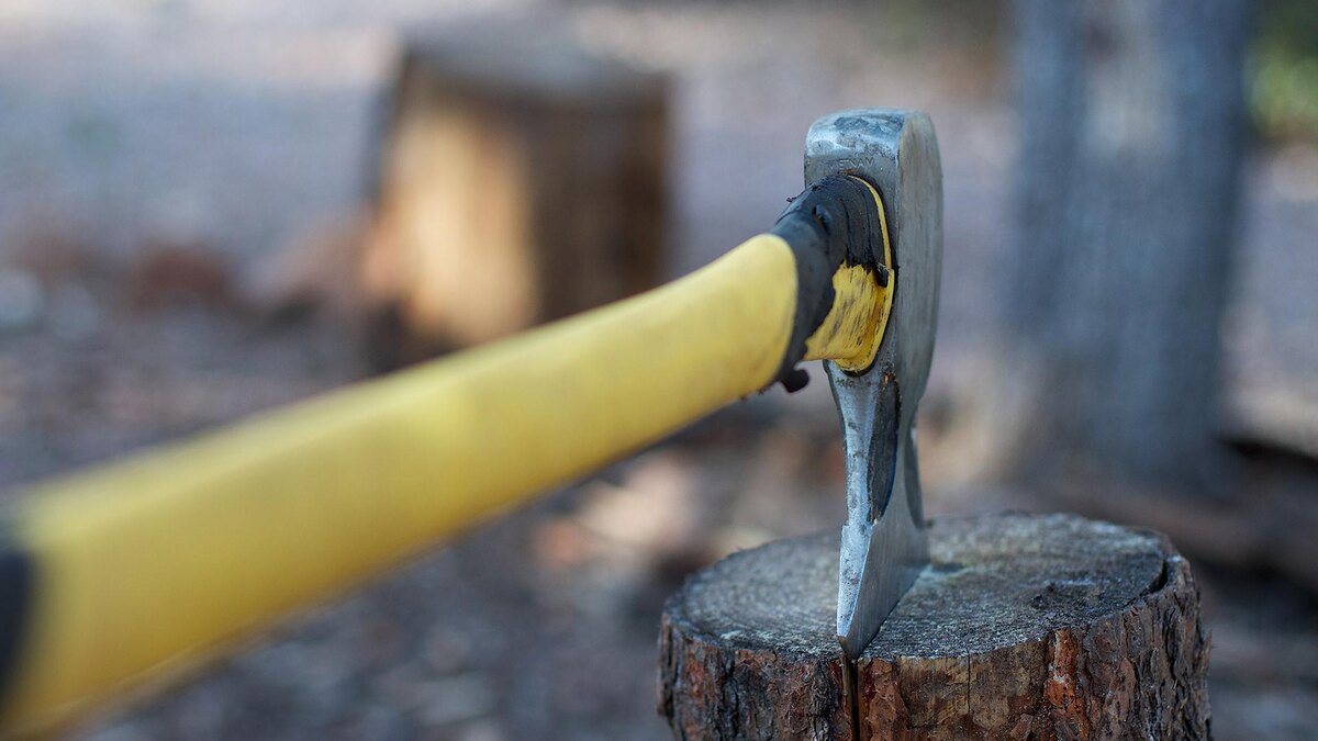    Фото: pxhere.com