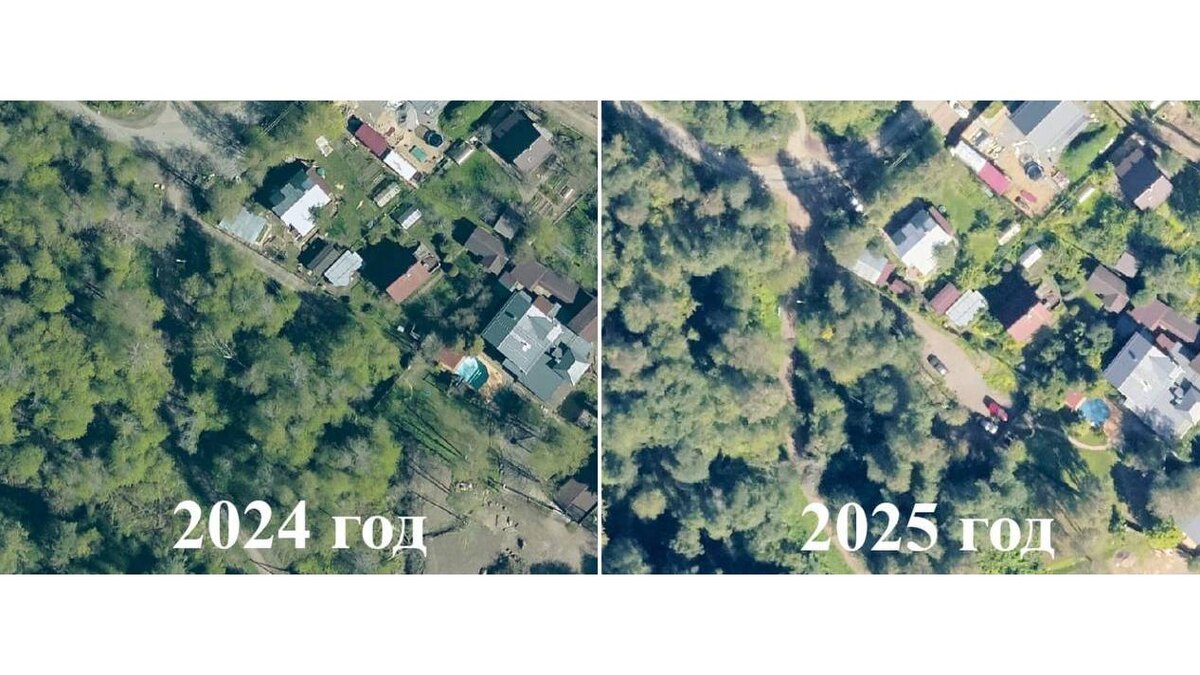    Фото: t.me/procspb